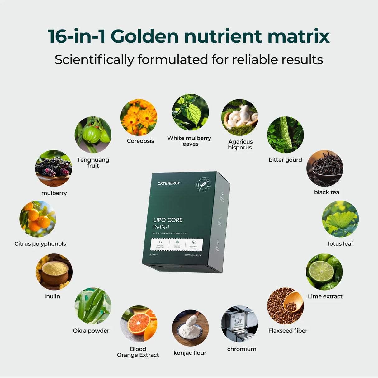 Lipo Core - Weight Management