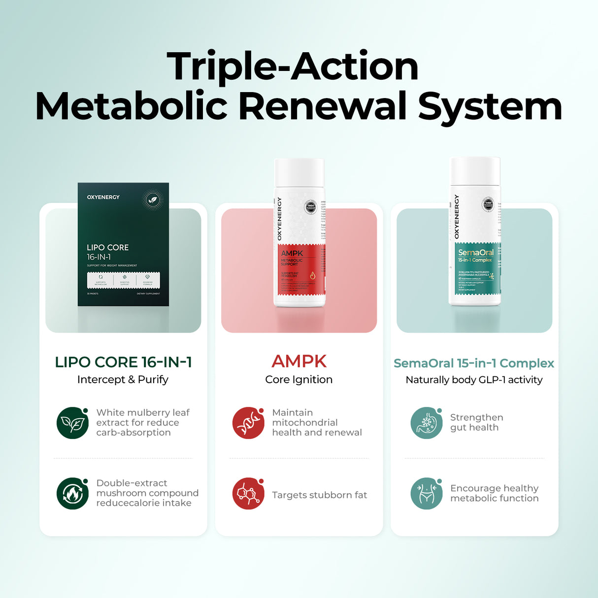 多合一重量管理捆綁包