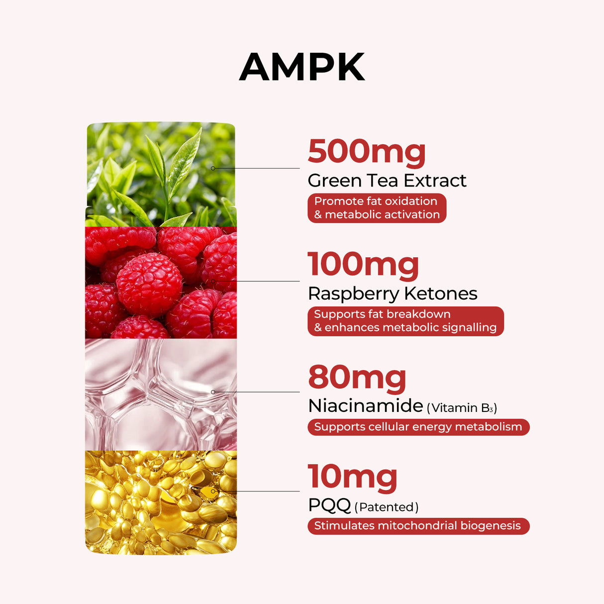 多合一重量管理捆綁包