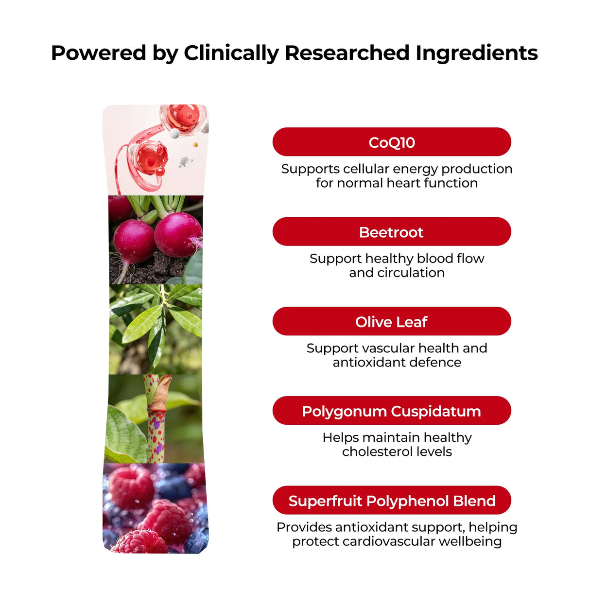 Cardio Flow Shot - Supports Circulatory & Heart Health