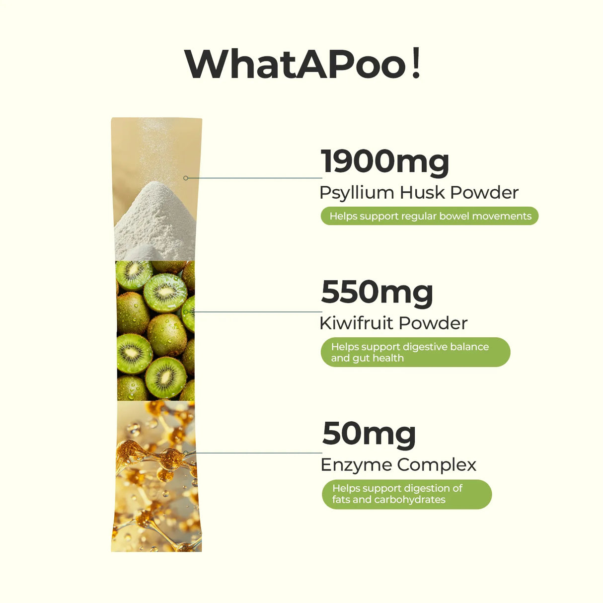 Metabolism & Gut Support Bundle