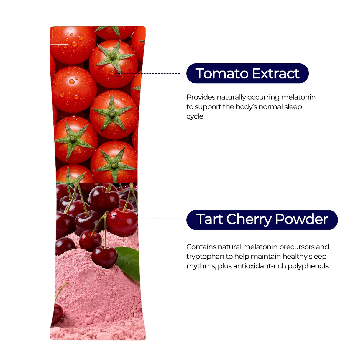 Wonderest - Supports Relaxation & Restful Sleep