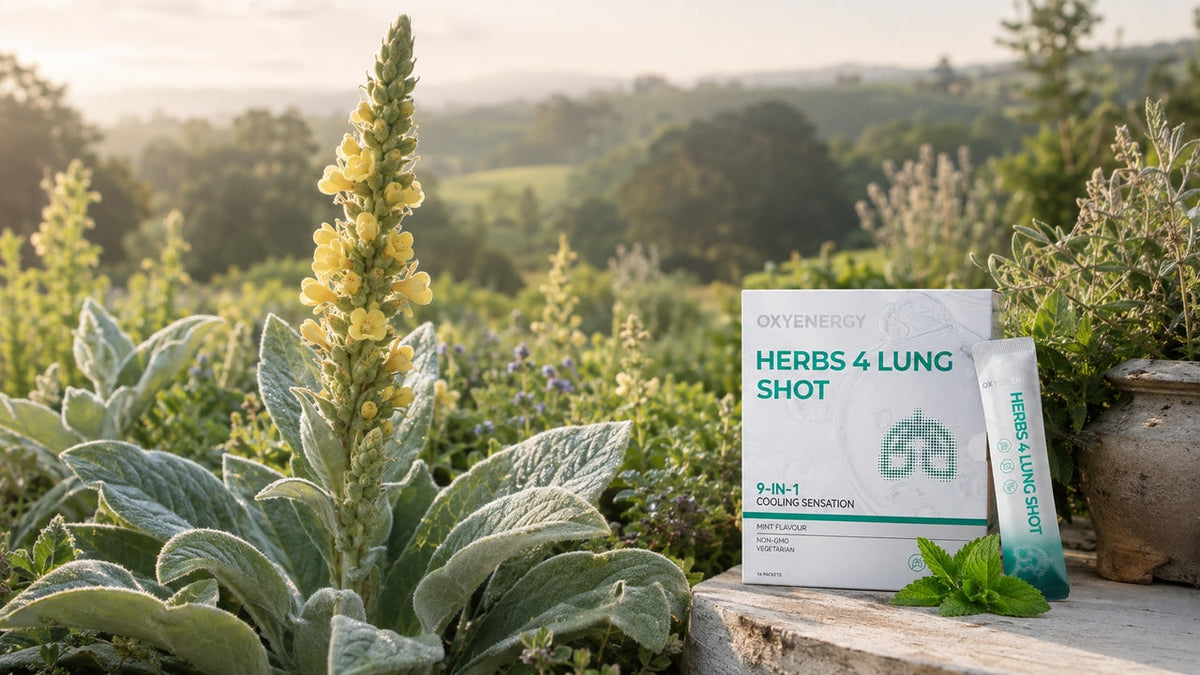 Why Mullein Has Long Been Used to Support Respiratory Health