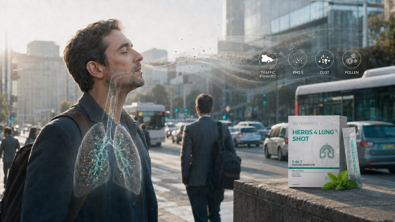 Everyday Air, Everyday Exposure: What Is Your Respiratory System Dealing With?