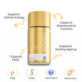PQQ Plus 1500mg