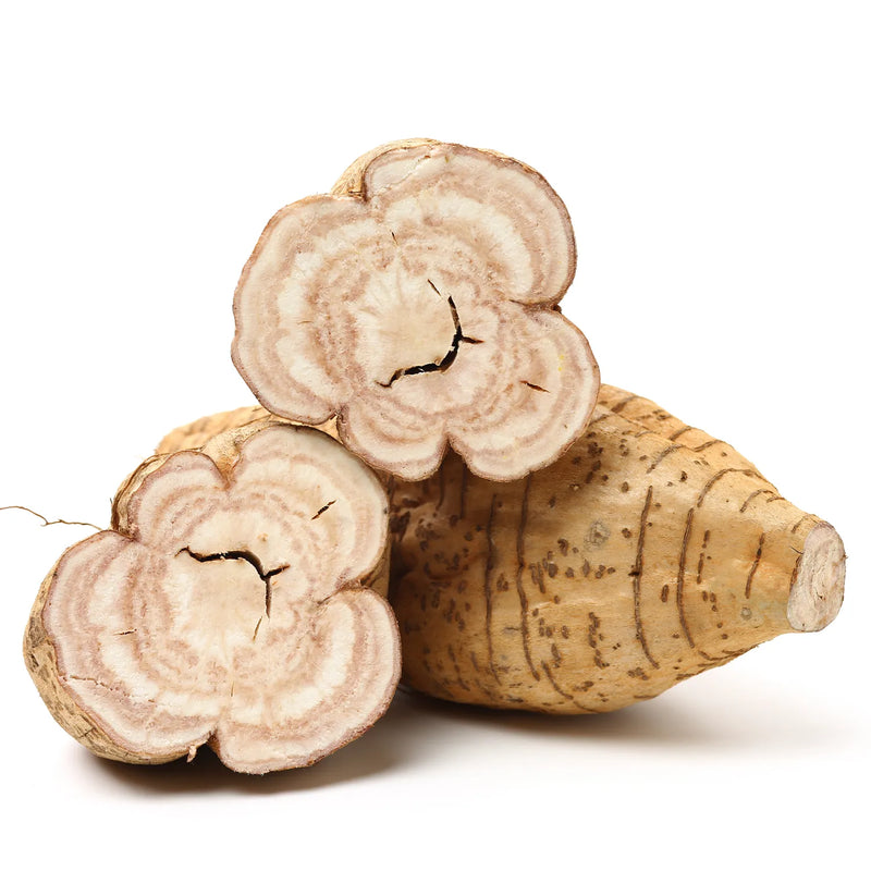 Pueraria