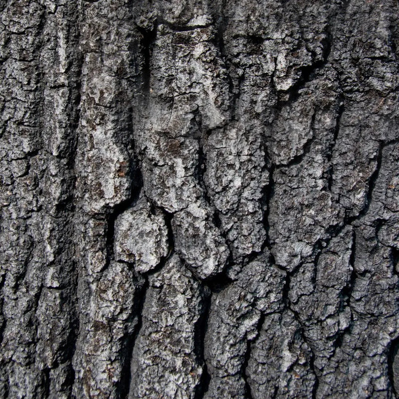 Quercetin