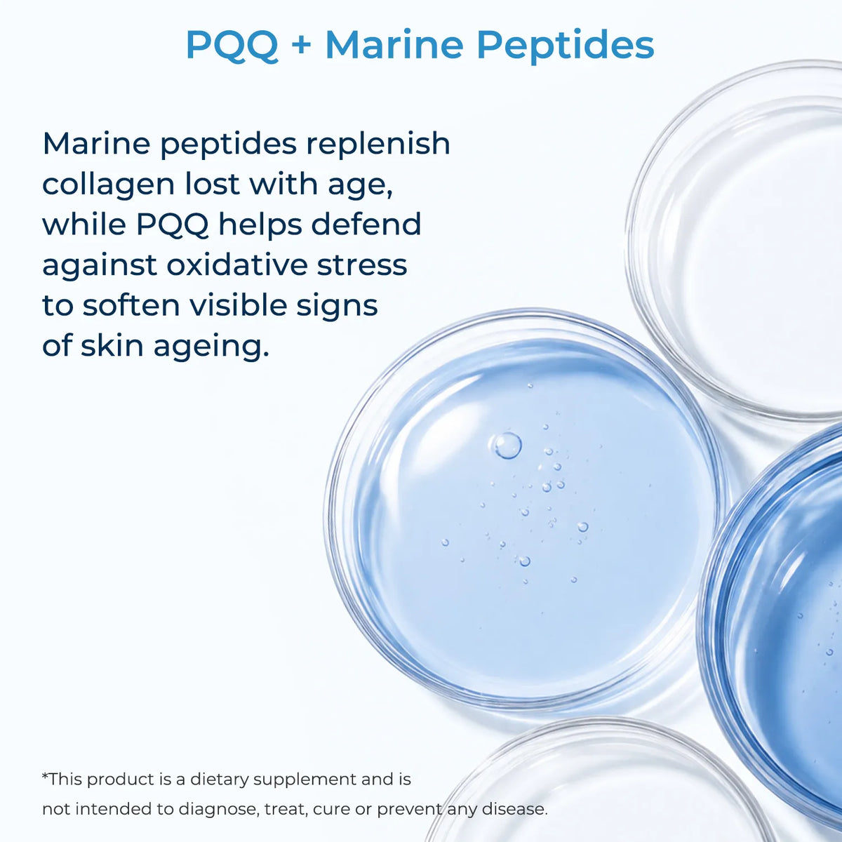 MARINE COLLAGEN