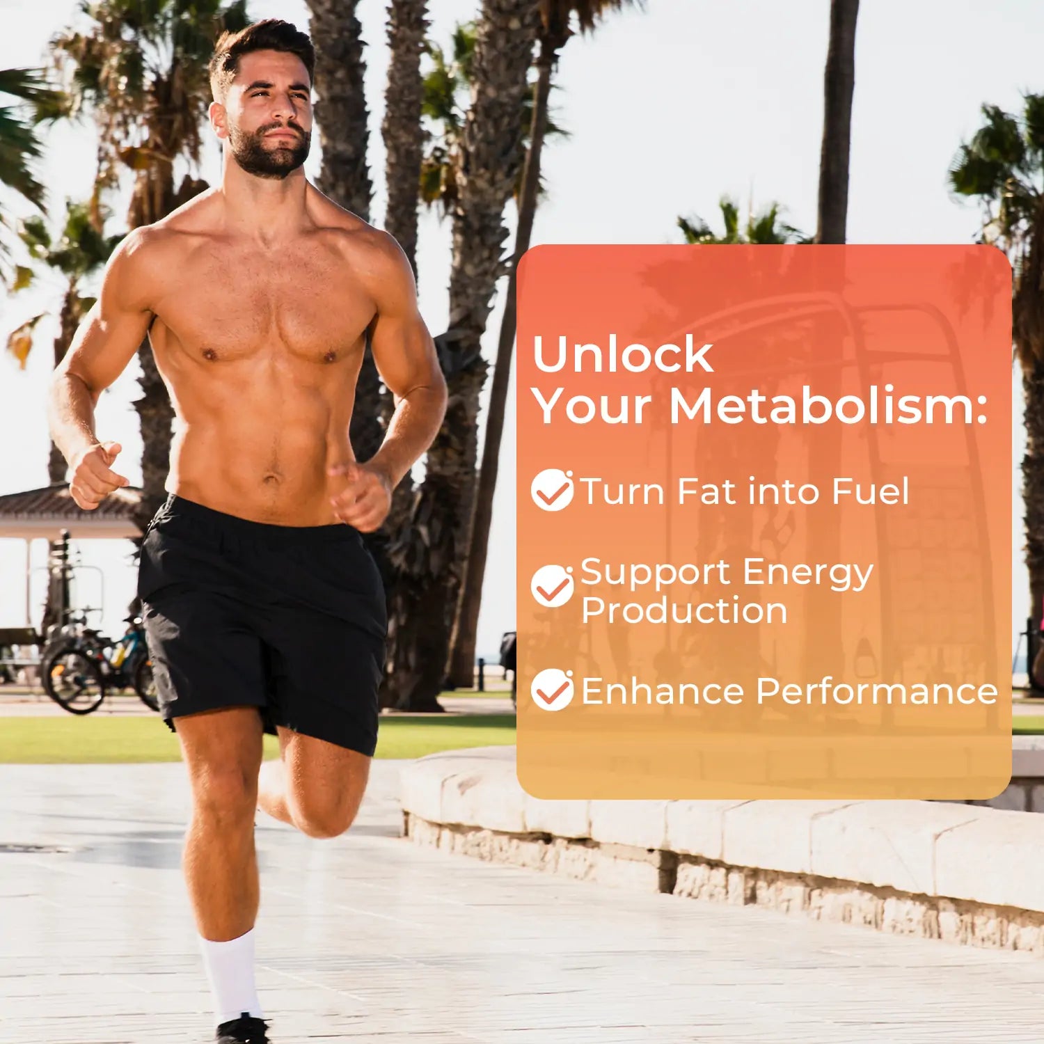 l-carnitine lifting running L Carnitine LS3 1500 Concentrated Liquid Fat Burner And Metabolism Ac suggesting an adjustment in taste sensitivity L-CARNITINE 3000 MG (EU)