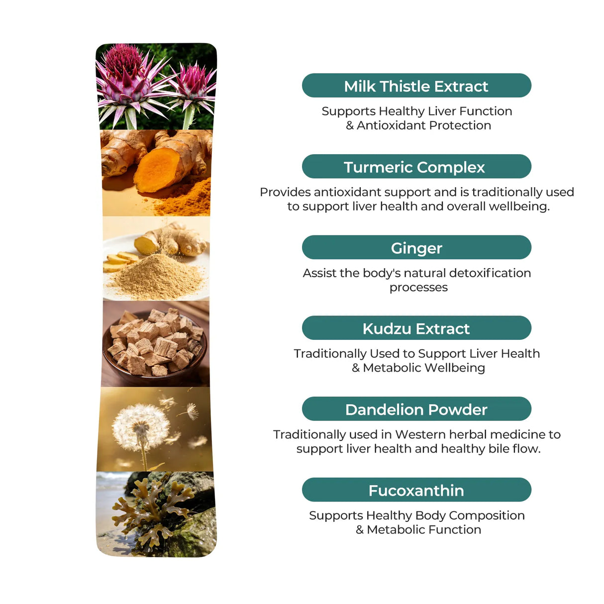 Liverchill - Supports Natural Fat Metabolism