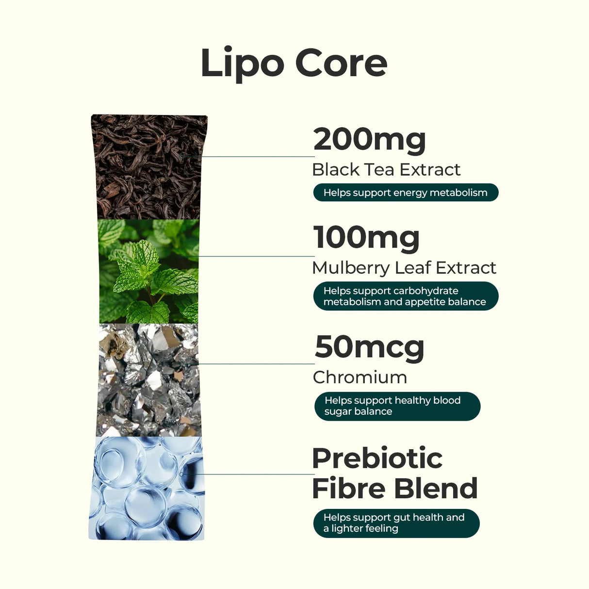 Metabolism & Gut Support Bundle