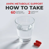 AMPK Metabolic Support