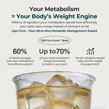 Lipo Core - Daily Slimming